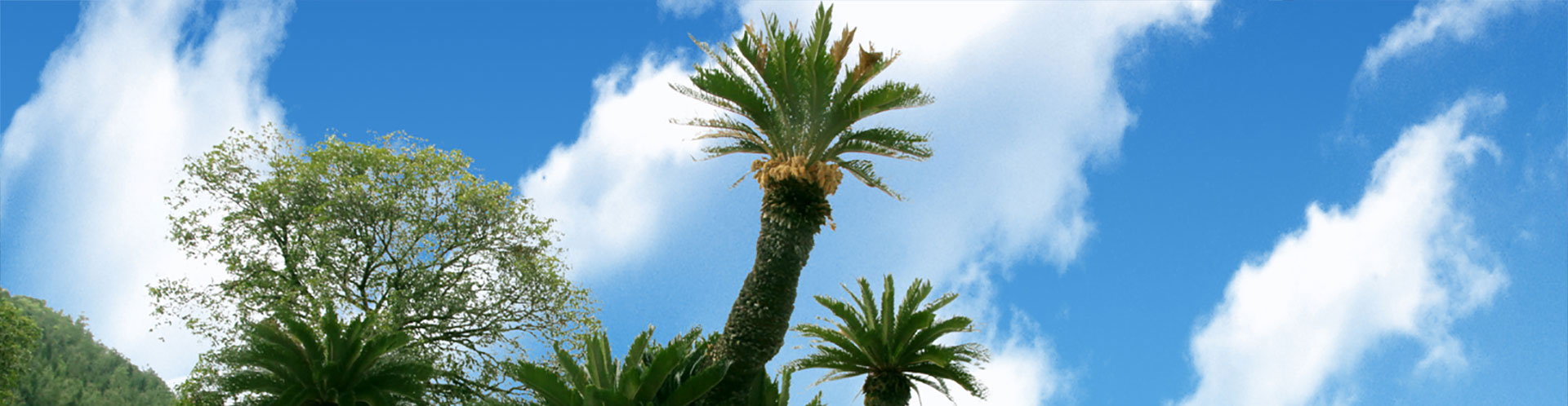 我命在我不在天 ，延長(zhǎng)生命從有機(jī)生活開(kāi)始。