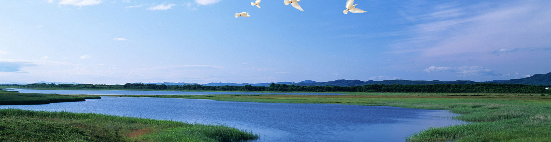 我們來(lái)于大自然，我們敬畏大自然，我們善待大自然。