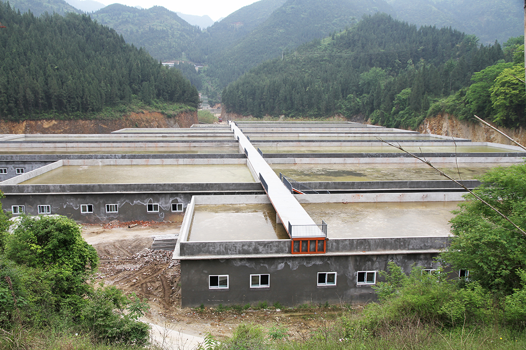 15404344002454.jpg IMG_4425.jpg